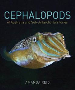 (Original PDF) Cephalopods of Australia and Sub-Antarctic Territories by Amanda Reid