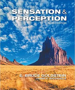 (Original PDF) Sensation and Perception 10th Edition by E. Bruce Goldstein