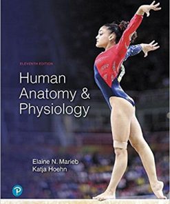 (eBook PDF) Human Anatomy & Physiology 11th Edition by Elaine N. Marieb