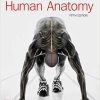 (Original PDF) Human Anatomy 5th Edition by Michael McKinley