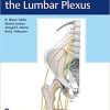 (eBook PDF) Surgical Anatomy of the Lumbar Plexus by R. Shane Tubbs