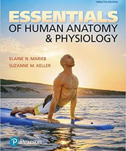 (eBook PDF) Essentials of Human Anatomy & Physiology 12th Edition by Elaine N. Marieb