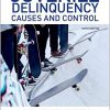 (eBook PDF) Juvenile Delinquency Causes and Control 6th Edition