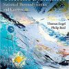 (eBook PDF) Physical Chemistry: Thermodynamics, Statistical Thermodynamics, and Kinetics 4th Edition