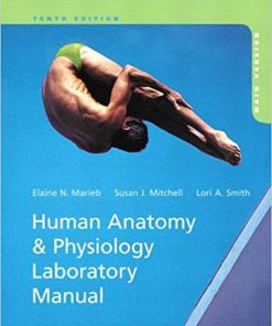 (eBook PDF) Human Anatomy & Physiology Laboratory Manual, Main Version 10th Edition