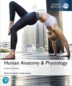 (eBook PDF) Human Anatomy & Physiology, Global Edition 11th Edition