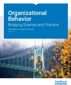 (eBook PDF) Organizational Behavior: Bridging Science and Practice 3.0