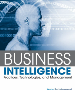 (eBook PDF) Business Intelligence: Practices, Technologies, and Management