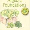 (eBook PDF) Algebra Foundations: Prealgebra, Introductory Algebra, & Intermediate Algebra