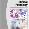 (eBook PDF) BSAVA Manual of Canine and Feline Clinical Pathology (BSAVA British Small Animal Veterinary Association) 3rd Edition