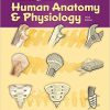 (eBook PDF) A Visual Analogy Guide to , Human Anatomy & Physiology 3rd Edition by Paul A. Krieger
