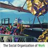 (eBook PDF) The Social Organization of Work 5th Edition by Randy Hodson