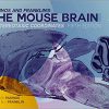 (eBook PDF) Paxinos and Franklin's the Mouse Brain in Stereotaxic Coordinates 5th Edition