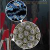 (eBook PDF) Microbiology, 2nd Edition by Dave Wessner