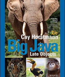 (eBook PDF) Big Java Late Objects 2nd Edition