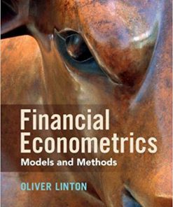 (eBook PDF) Financial Econometrics: Models and Methods