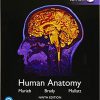 (eBook PDF) Human Anatomy, Global Edition 9th Edition