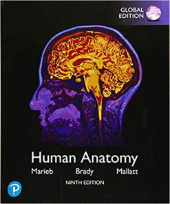 (eBook PDF) Human Anatomy, Global Edition 9th Edition