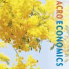 (eBook PDF) Macroeconomics: Australia in the Global Environment 2nd Edition