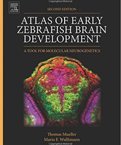 Atlas of Early Zebrafish Brain Development, Second Edition