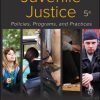 (eBook PDF) Juvenile Justice: Policies, Programs, and Practices 5th Edition