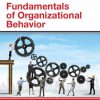 (eBook PDF) Fundamentals of Organizational Behavior 6th Edition by Andrew J. DuBrin