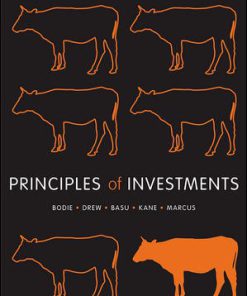 Principles of Investments 1th by Michael Drew