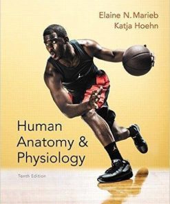 Human Anatomy & Physiology 10th Edition by Elaine N. Marieb (eBook PDF)