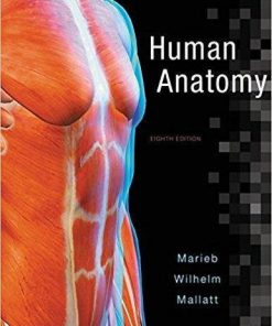 Human Anatomy 8th Edition by Elaine N. Marieb (eBook PDF)