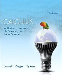 Calculus for Business, Economics, Life Sciences, and Social Sciences 13th Edition by Raymond A. Barnett (eBook PDF)