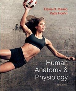 Human Anatomy & Physiology 9th Edition by Elaine N. Marieb (eBook PDF)