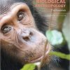 Exploring Biological Anthropology The Essentials 4th Edition by Craig Stanford (eBook PDF)