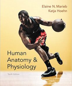 Human Anatomy & Physiology 10th by Elaine N. Marieb