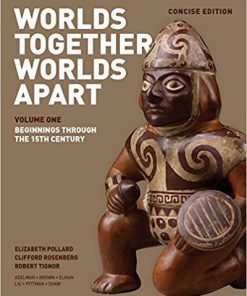 Worlds Together, Worlds Apart: A History of the World: From the Beginnings Through The 15th Century (Vol. 1) Concise Edition (eBook PDF)