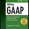 Wiley GAAP 2019: Interpretation and Application of Generally Accepted Accounting Principles (Wiley Regulatory Reporting) 1st Edition (eBook PDF)