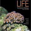 Life: The Science of Biology 10th Edition (eBook PDF)