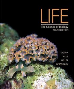 Life: The Science of Biology 10th Edition (eBook PDF)