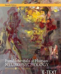 Fundamentals of Human Neuropsychology 7th Edition (eBook PDF)