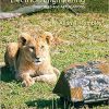 Electrical Engineering Principles & Applications 6th edition (eBook PDF)