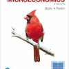Foundations of Microeconomics 8th Edition by Robin Bade (eBook PDF)