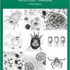 Veterinary Parasitology: Reference Manual 5th Edition by William J. Foreyt (eBook PDF)