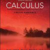 Calculus Single Variable 7th Edition (eBook PDF)