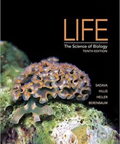 (eBook PDF) Life The Science of Biology 10th Edition by David E. Sadava