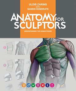 Anatomy for Sculptors, Understanding the Human Figure (eBook PDF)