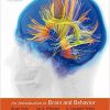 (eBook PDF) An Introduction to Brain and Behavior 5th Edition