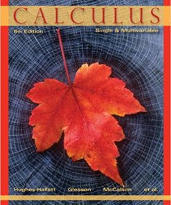 (eBook PDF) Calculus: Single and Multivariable 6th Edition