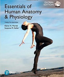 (eBook PDF) Essentials of Human Anatomy & Physiology 12th Global Edition