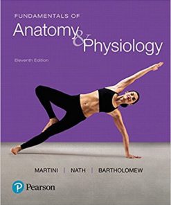 (eBook PDF) Fundamentals of Anatomy & Physiology 11th Edition