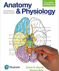 (eBook PDF) Anatomy and Physiology Coloring Workbook 12th Edition