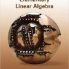 (eBook PDF) Elementary Linear Algebra 7th Edition by Ron Larson